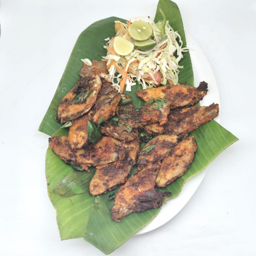 Surmai Tawa Fry
